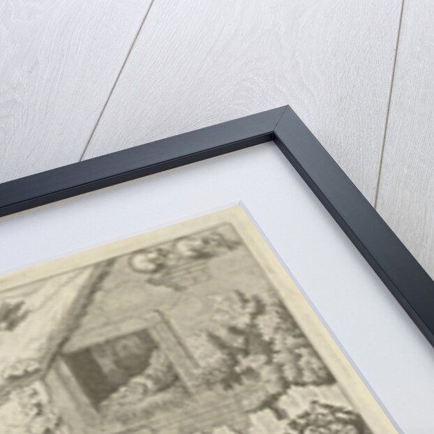 Various poultry and a turkey by Jacob Gole