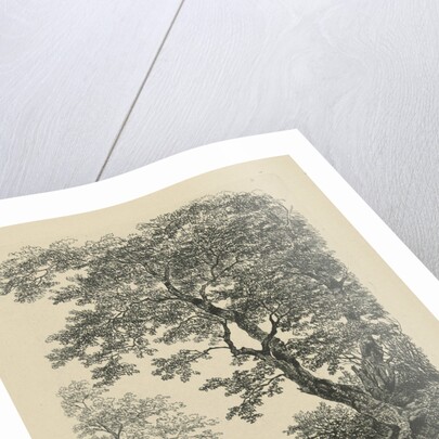 Travellers on a forest path by Remigius Adrianus Haanen