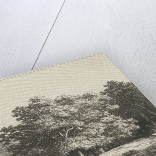 Trees on the water by Remigius Adrianus Haanen