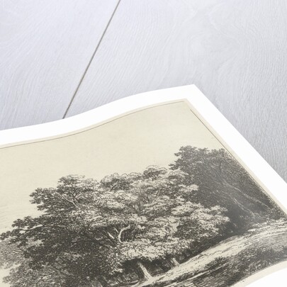 Trees on the water by Remigius Adrianus Haanen