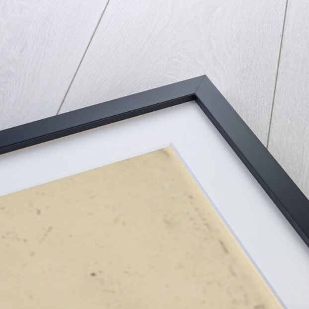 Forest view by Remigius Adrianus Haanen