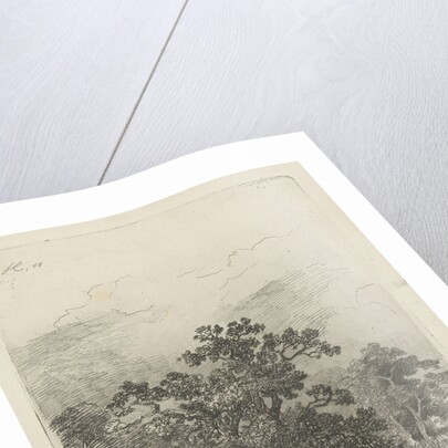 Forest scene with a lake by Remigius Adrianus Haanen