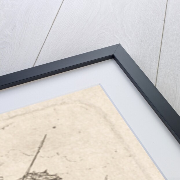 Battle by Theodoor Schaepkens