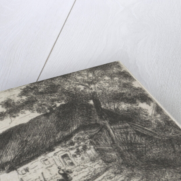 Long farm by Arnoud Schaepkens