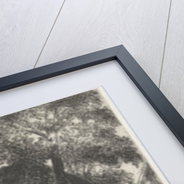 Long farm by Arnoud Schaepkens