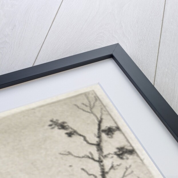 Dunes by Arnoud Schaepkens