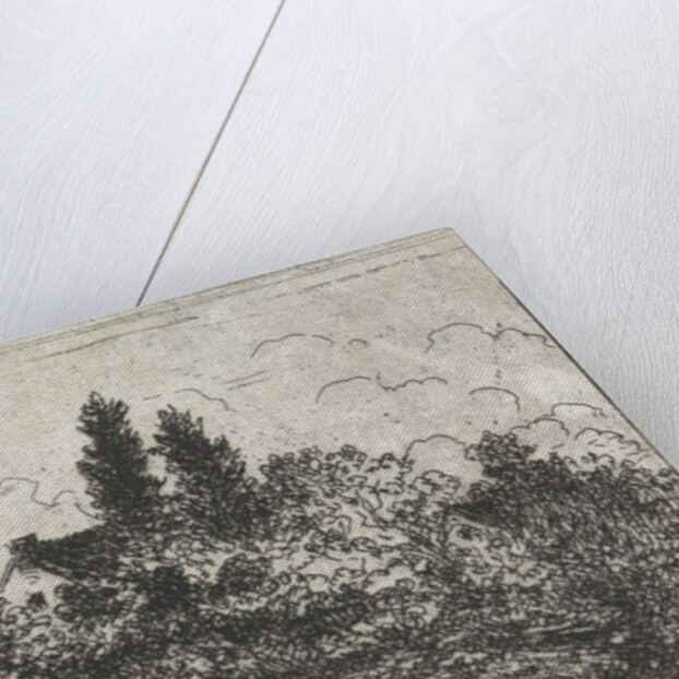 House amidst trees by Arnoud Schaepkens