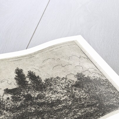 House amidst trees by Arnoud Schaepkens