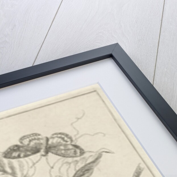 Flower Study with butterfly by Willem van Leen