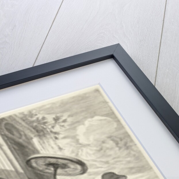 Allegory of Fortuna and Science by Dancker Danckerts