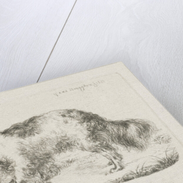 Drinking dog by Guillaume Anne van der Brugghen