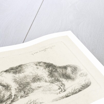 Drinking dog by Guillaume Anne van der Brugghen