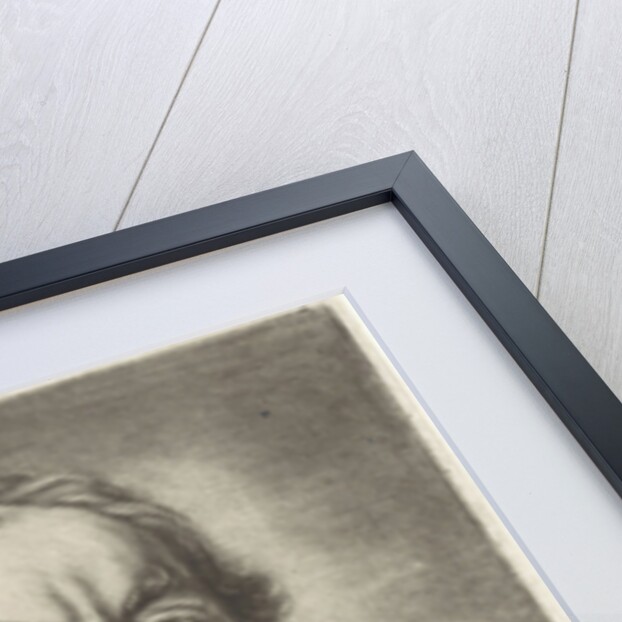 Portrait of Andries Bicker by Bartholomeus van der Helst