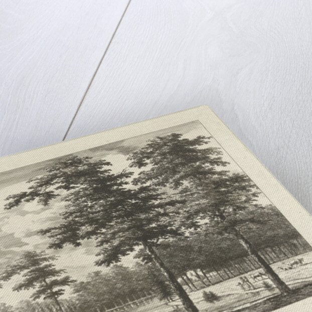 View of the pond at Trillion by Christian Henning