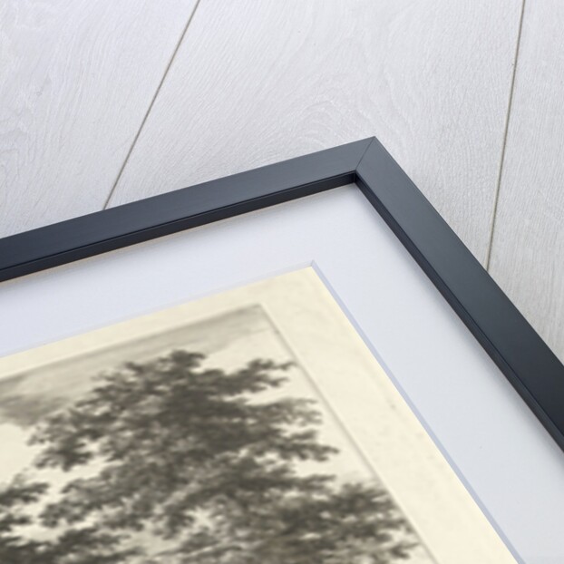 View of the pond at Trillion by Christian Henning