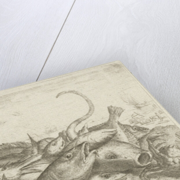 Fishes and a Crab by Lodewijk XIV