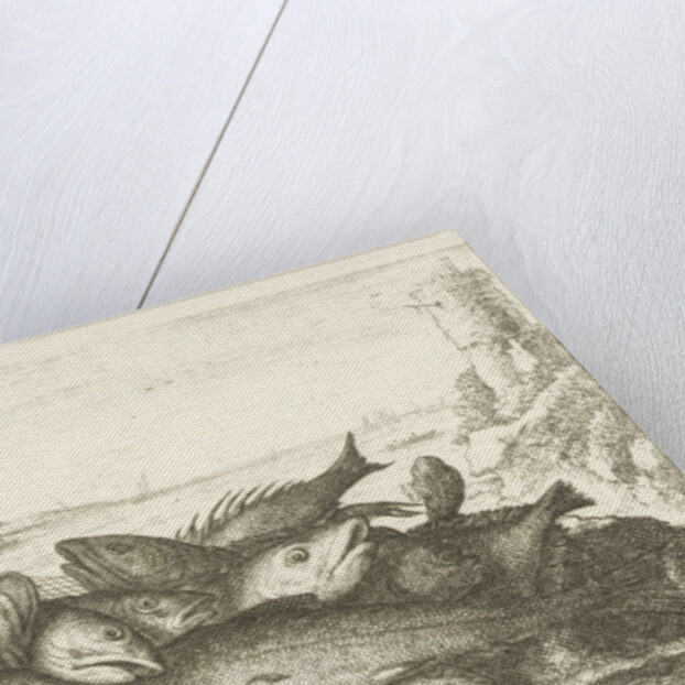 Fishes by Lodewijk XIV