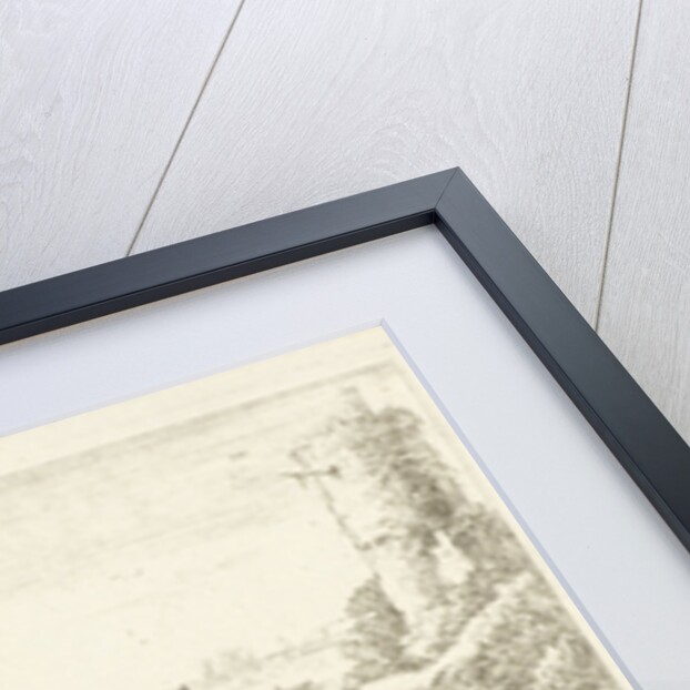 Fishes by Lodewijk XIV