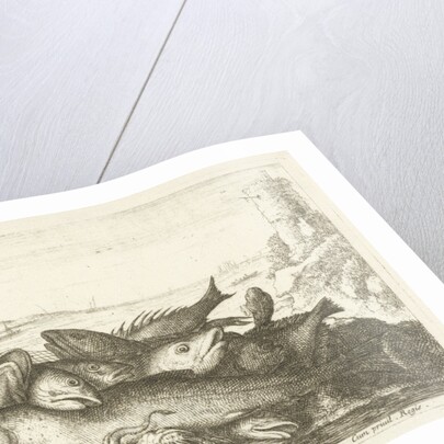 Fishes by Lodewijk XIV