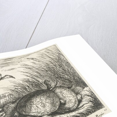 Four freshwater turtles between grass and reed by Reinier & Josua Ottens