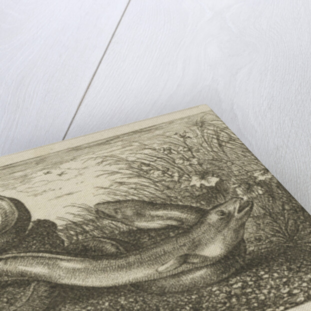 Three eels in the grass by Albert Flamen