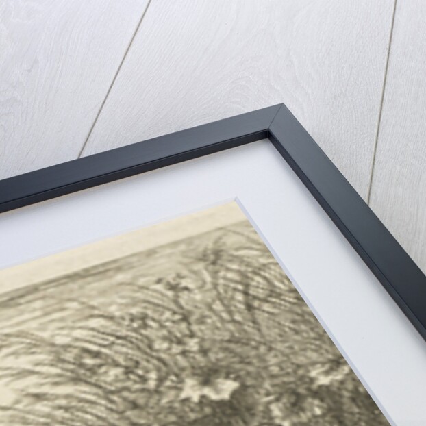 Three eels in the grass by Albert Flamen