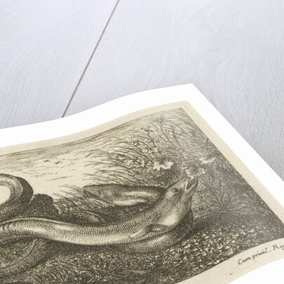 Three eels in the grass by Albert Flamen