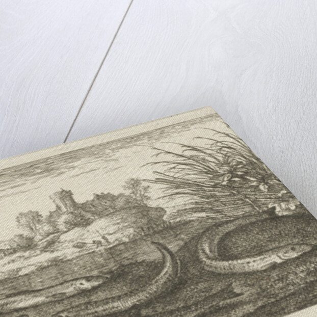 Loaches on a river bank by Albert Flamen