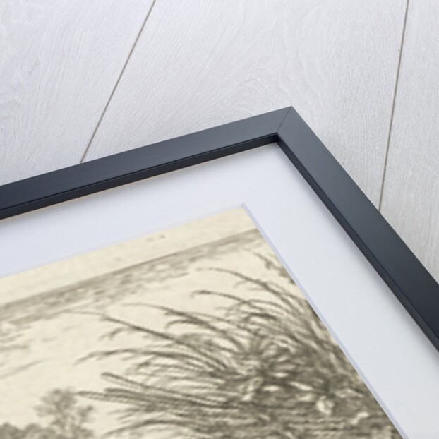 Loaches on a river bank by Albert Flamen