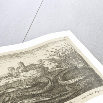 Loaches on a river bank by Albert Flamen