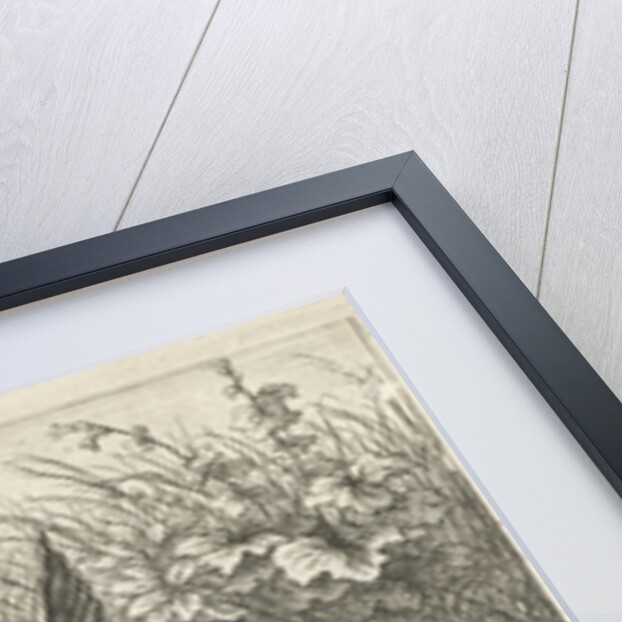 Three carp on a riverbank by Louis XIV King of France