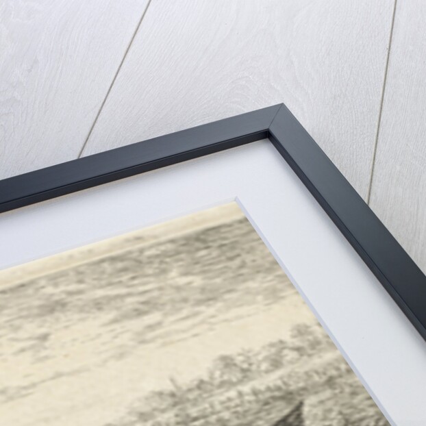 Two bream on a riverbank by Lodewijk XIV