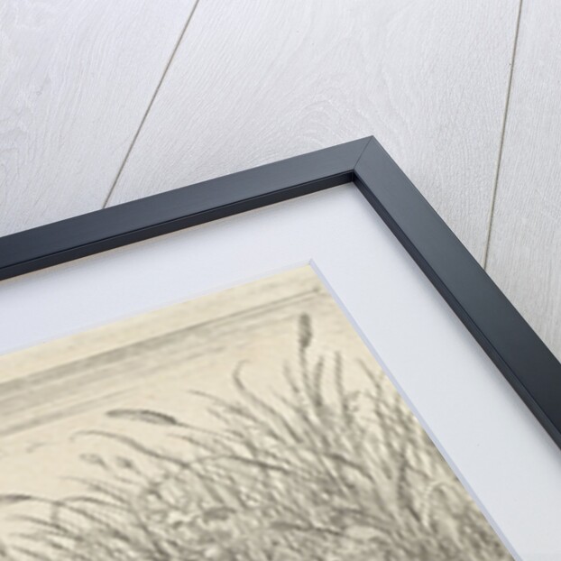 Four tench on a river bank by Lodewijk XIV