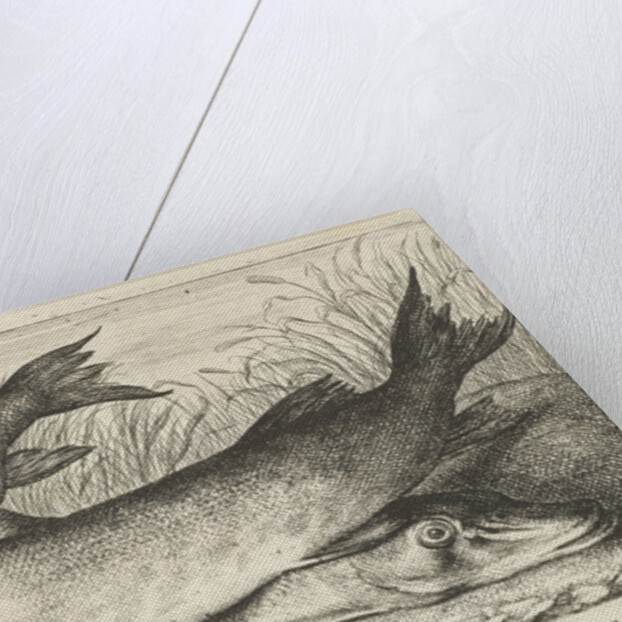 Two pike on a riverbank by Louis XIV King of France