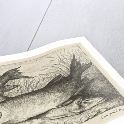 Two pike on a riverbank by Louis XIV King of France