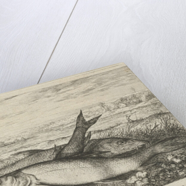 Three barbs on a riverbank by Lodewijk XIV