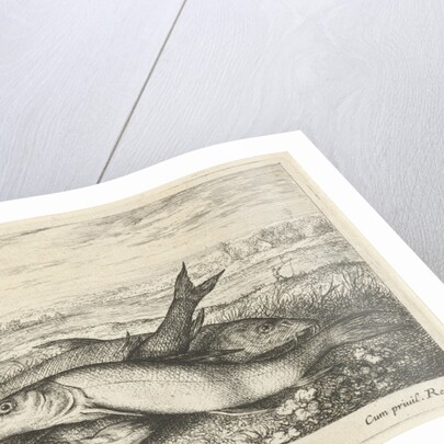 Three barbs on a riverbank by Lodewijk XIV