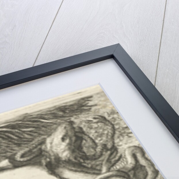 Cartouche with fish and water hoses by Claes Jansz. Visscher II