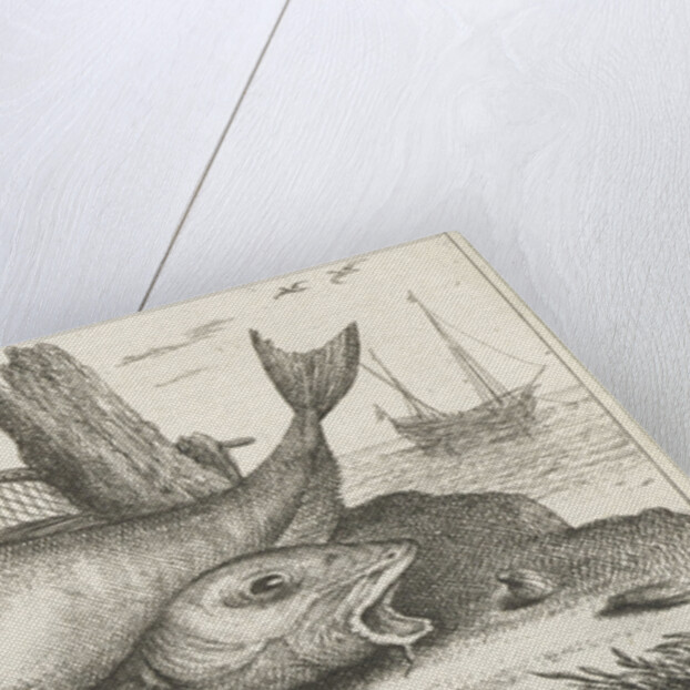 Three haddock on the beach by Lodewijk XIV