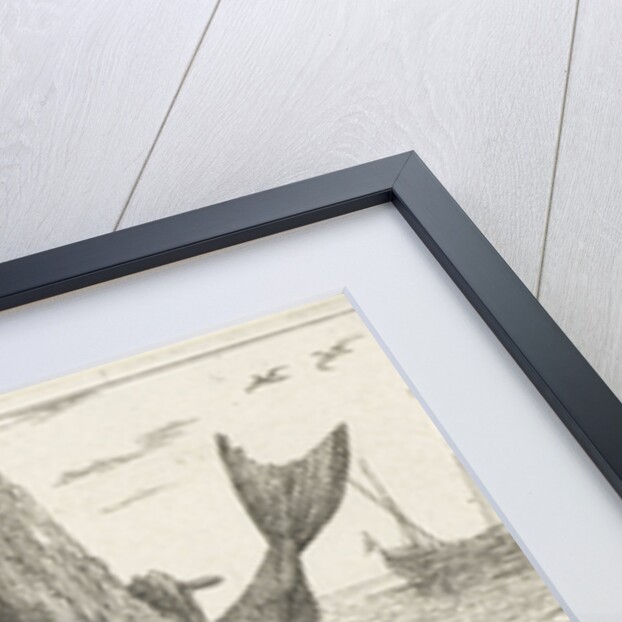 Three haddock on the beach by Lodewijk XIV