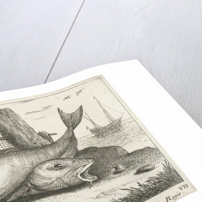 Three haddock on the beach by Lodewijk XIV