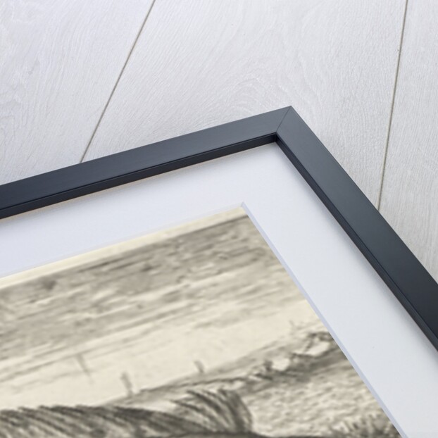 Two plaice on the beach by Louis Bernard Coclers