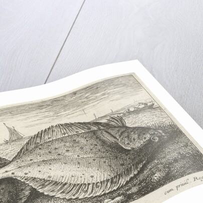 Two plaice on the beach by Louis Bernard Coclers