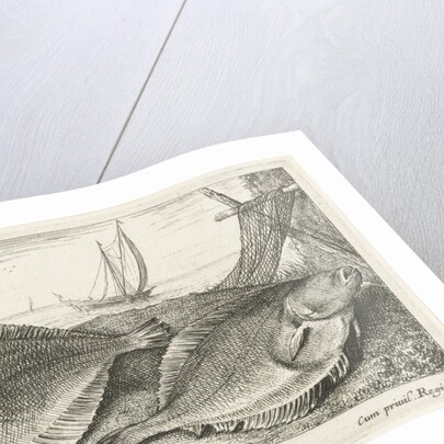 Two dabs on the beach by Dudley Carlton