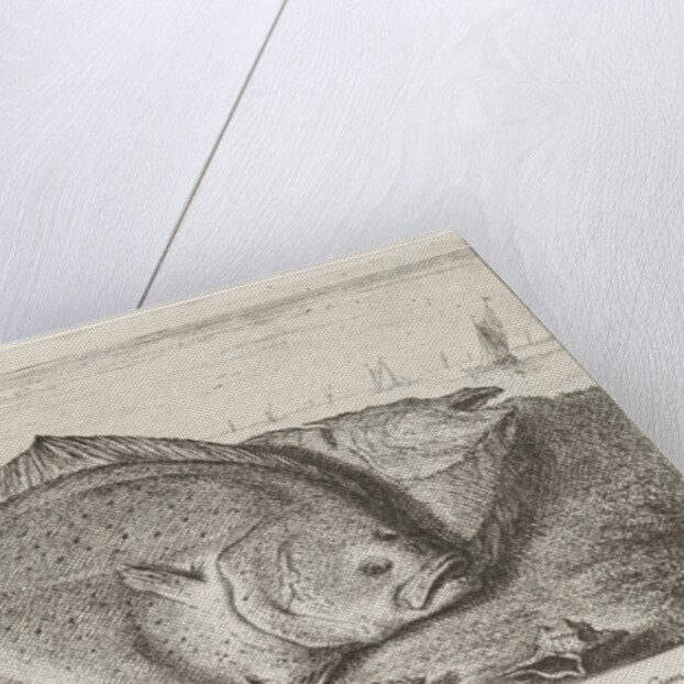 Two turbot on the beach by Lodewijk XIV