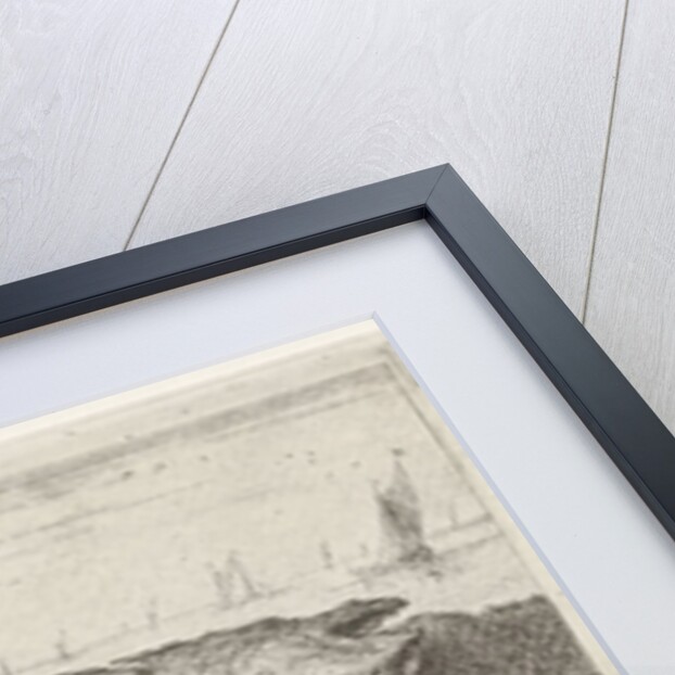 Two turbot on the beach by Lodewijk XIV