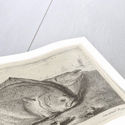 Two turbot on the beach by Lodewijk XIV