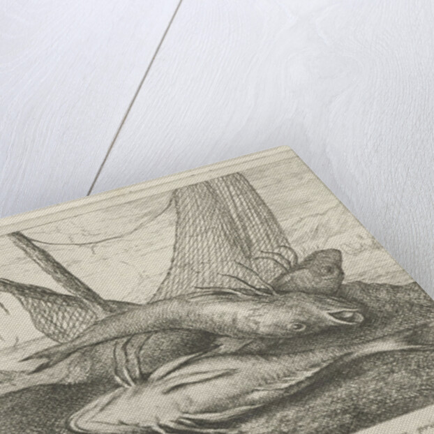 Fish on the beach by Albert Flamen