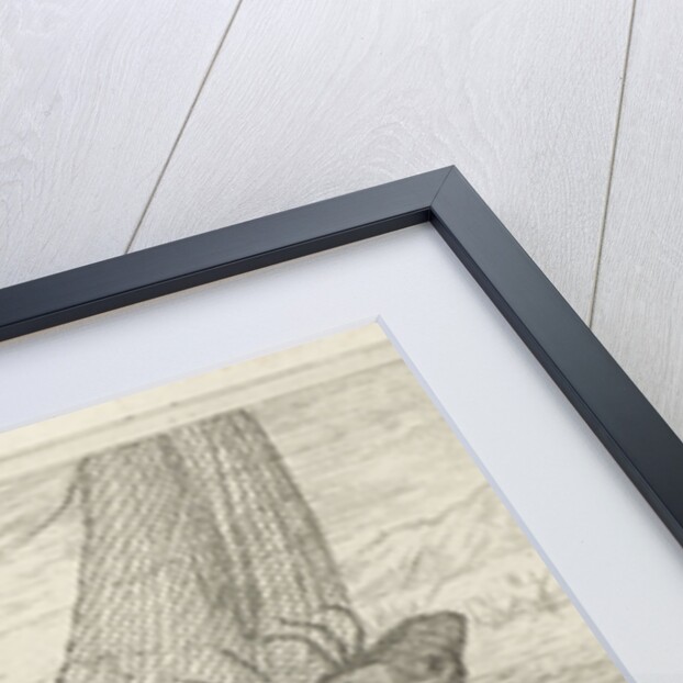 Fish on the beach by Albert Flamen