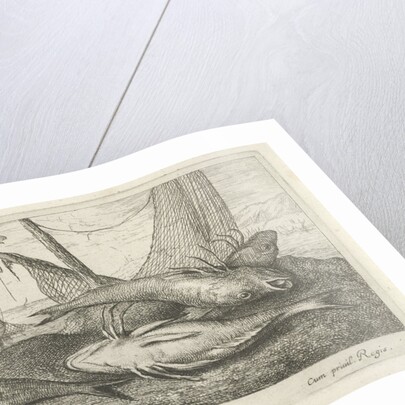 Fish on the beach by Albert Flamen